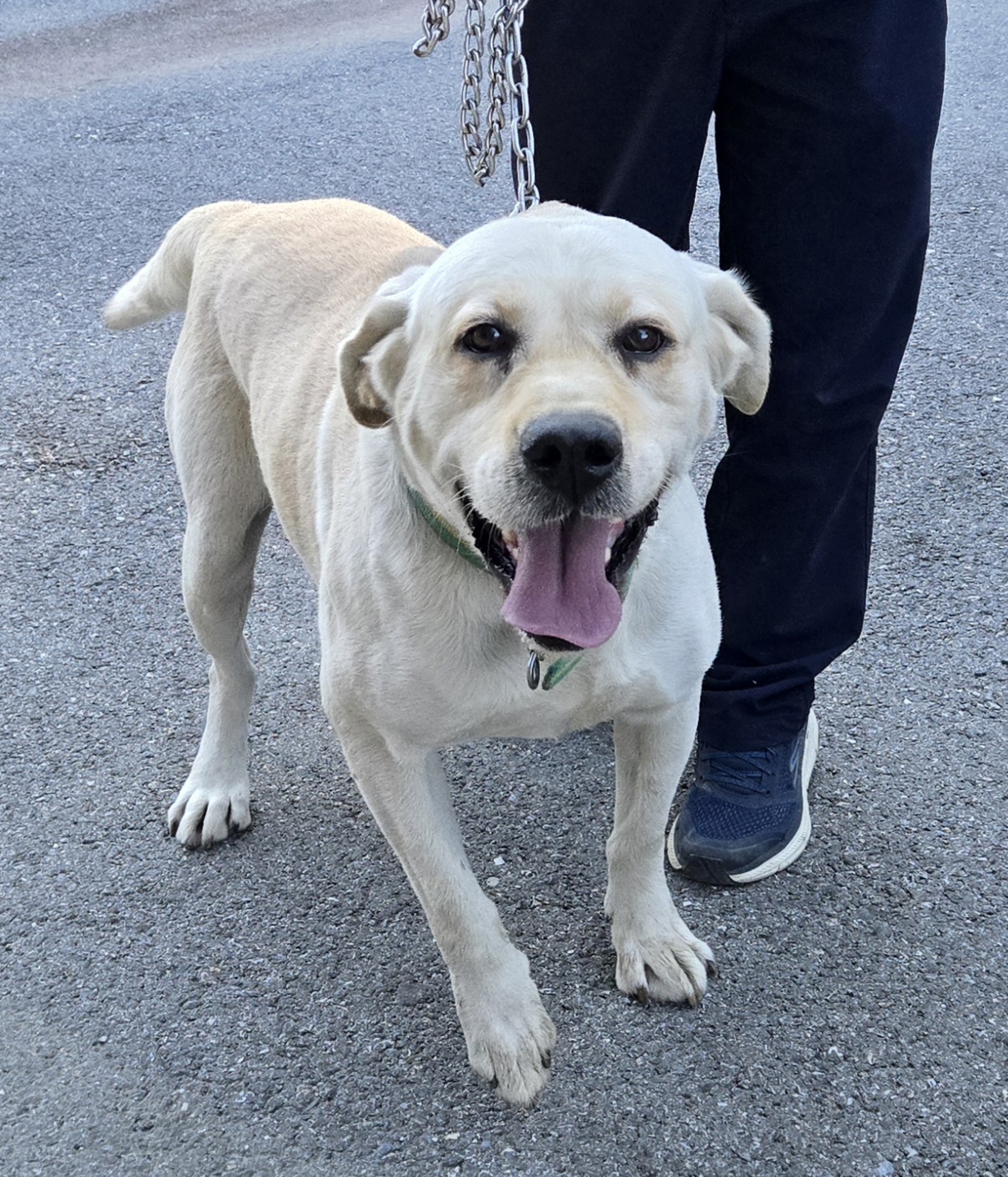 제천시 동물보호센터_443440202500347